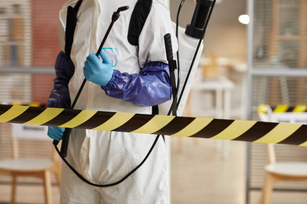 Professional Sewage Cleanup technician working in Dallas, TX